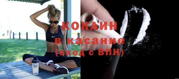 сатива Елизово