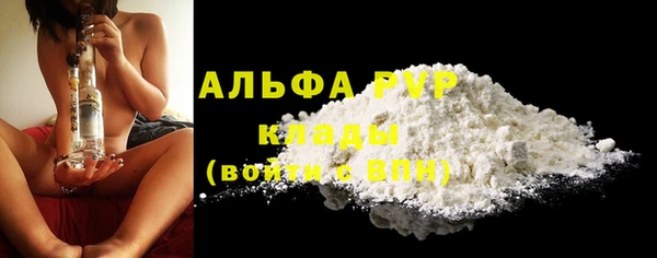 сатива Елизово
