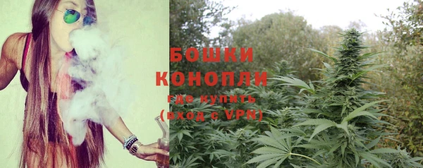 сатива Елизово