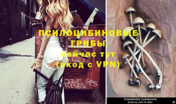 марки nbome Ельня