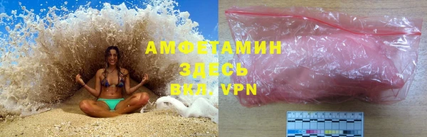 сатива Елизово