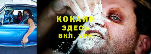 сатива Елизово