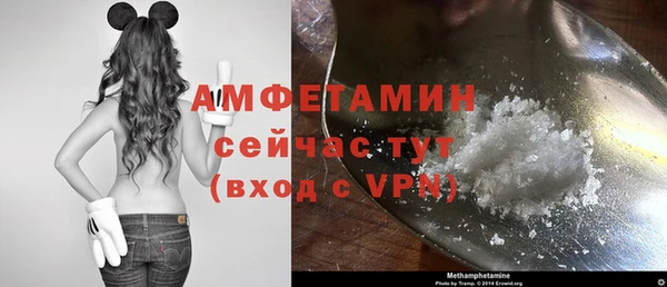 сатива Елизово