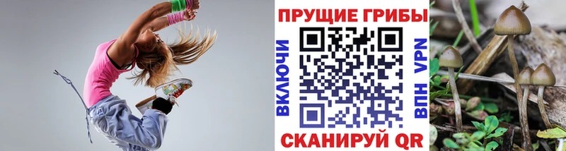 Галлюциногенные грибы ЛСД  Купить  Уржум 